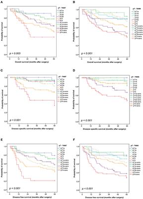 Comparison of the 7th and 8th Edition of the UICC/AJCC TNM Staging System in Primary Resected Squamous Cell Carcinomas of the Lung—A Single Center Analysis of 354 Cases